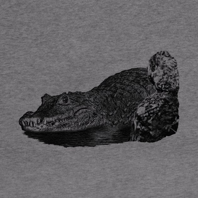 Dwarf crocodile by Guardi